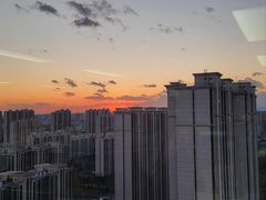 -世东国际
