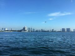 -台场海滨公园船码头
