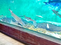 -太平洋海底世界