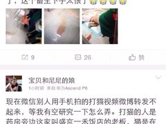 盛京一禾-盛京一禾