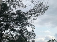 -红花山公园