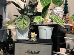 -Dogi&kiki Coffee(中心商务大厦店)