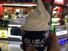 -关西国际机场直营免税店
