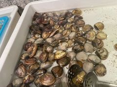 -天豪大酒店·爱琴海自助餐厅