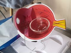 -武汉大学附属爱尔眼科医院(湖北总院)