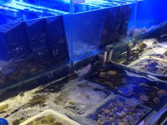 水产区-捞围鲜·港式打边炉(海阳路店)