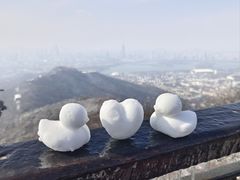 -紫金山山顶公园