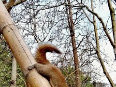 -西湖外事游船(花港观鱼码头)