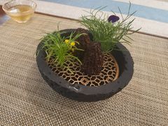 -格桑花开药膳蔬食文化空间