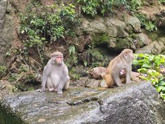 -姑婆山旅游区