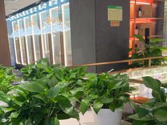 -百草滩羊清水涮羊肉·清真·宁夏盐池滩羊(莲花桥店)
