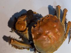 -苏格里岛自助烤肉海鲜火锅(成都金牛万达店)
