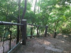 石梯拐角-天台山赤城山景区