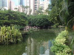 -九龙公园