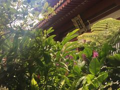 -新加坡佛牙寺龙华院