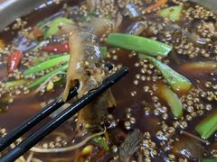 -邱氏胖泥鳅(大堰店)