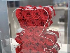 -ROSEONLY诺誓(广州K11店)