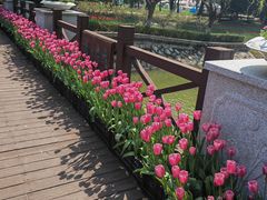 -上海鲜花港