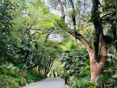 -蜀冈西峰生态公园