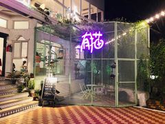 -有猫主题·治愈系猫咖(曾厝垵店)