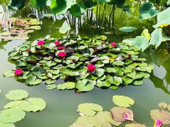 -国家植物园南园