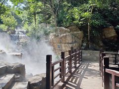 -北京西山国家森林公园