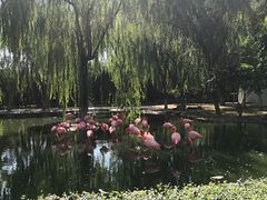 -石家庄市动物园