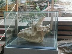 -中国第四纪冰川遗迹陈列馆