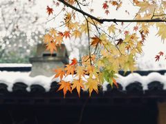 -法云古村