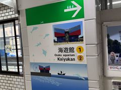 -大阪海游馆