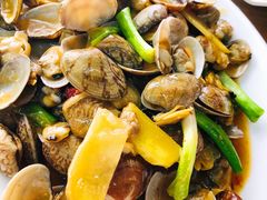 姜葱炒花甲-明记海鲜大排档(巽寮湾店)
