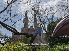 -上海迪士尼度假区