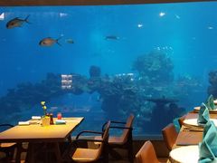 -海棠湾洲际-涛·海底餐厅·美人鱼·自助餐·海底隧道