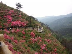 -木兰云雾山