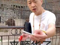 -安徽正宗牛肉板面(南十三路店)