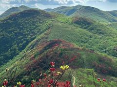 -大围山国家森林公园