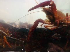 -童福兴·南京菜(老门东店)