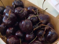 -馨越楼·点心·粤菜(赤坎店)