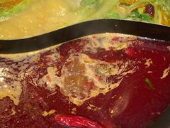 -朱光玉火锅馆(正弘城店)