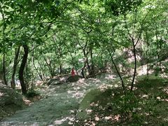 -北京上方山国家森林公园