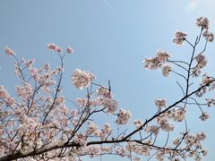 -苏州上方山国家森林公园