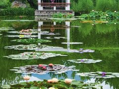 -国家植物园南园