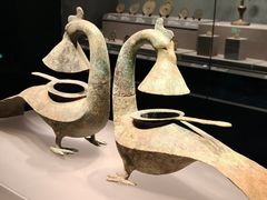 -广西壮族自治区博物馆