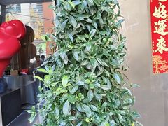 -欧记·龙城港(欣都店)