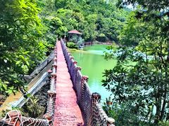 -广州白江湖森林公园