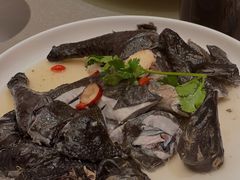 药材浸乌鸡-沙龙酒家