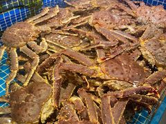 -东海怡品海鲜豆捞(舟宿夜江店)