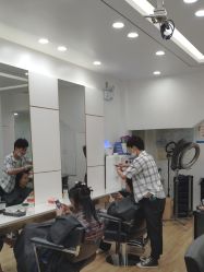 -YESIDO椰岛造型