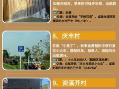 -紫藤园·天目湖大鱼头(南山竹海店)
