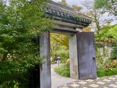 -亭林公园